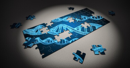 Navigating Racial Challenges in DNA Connections的缩图